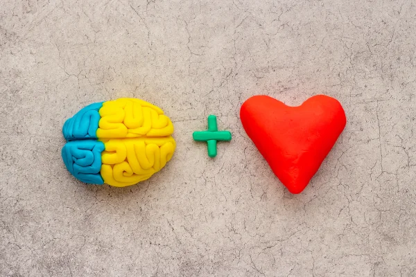 Reprogramação Emocional Transformando a Mente e o Coração